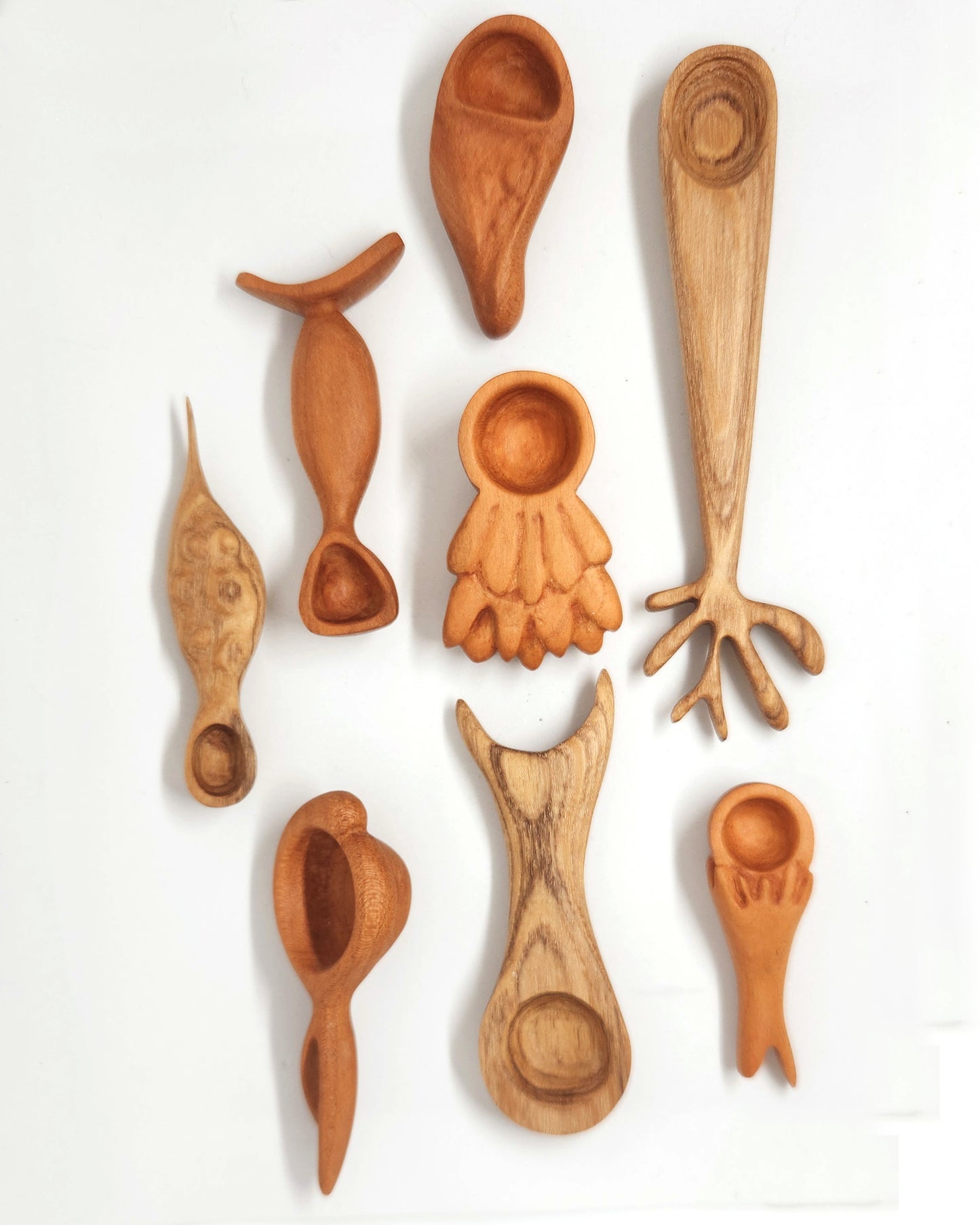 Potionneur Acacia AC002