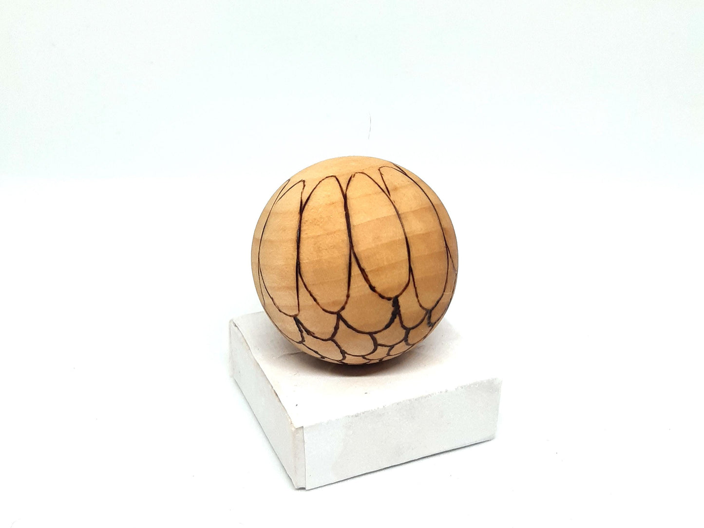 Jouet en bois naturel infusé à l'huile de saumon pour chats. Écologique, durable et non toxique, il stimule l'instinct de jeu et favorise le bien-être. L'huile de saumon attire les chats et soutient leur santé. Idéal pour divertir et prendre soin