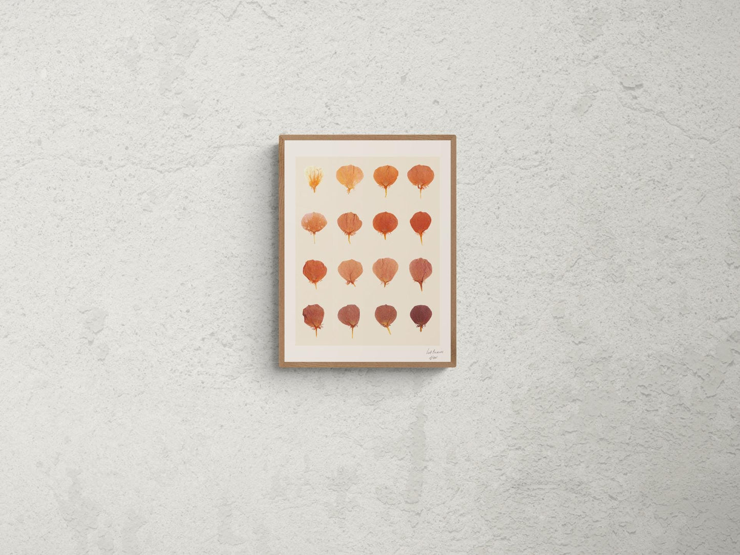 Sublimez votre décoration avec cette affiche artistique représentant l’évolution de la couleur des pétales de capucine. Une œuvre botanique unique qui capture la beauté du temps qui passe. Parfaite pour une déco naturelle et épurée, elle s’intègre dans un salon, une chambre ou un bureau. Imprimée en édition limitée sur papier de qualité, cette affiche est idéale pour les amoureux de la nature et du design minimaliste. Offrez une touche végétale à votre intérieur !