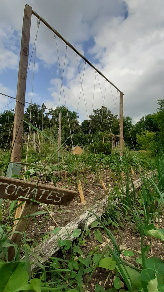 construction en bois pour le jardin