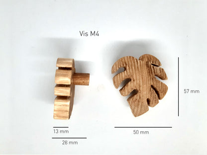 Patères ou poignées Monstera