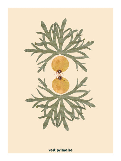 Affiche "Chimère 01" - Art botanique numérique - Tirage Fine Art 30x40cm numéroté