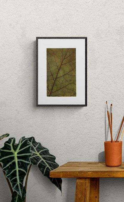 Affiche feuille décoration murale dans cadre, feuille séchée fleurs pressées wall art herbarium affiche art dessin illustration poster fleurs sechees decoration murale cadre fleurs cadeau noel artiste artisanat potager jardin herbier