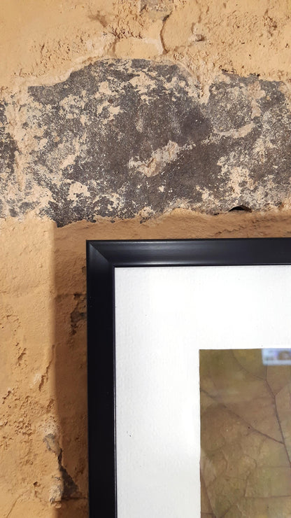 Affiche herbier, véritable feuille - 21 x 29,7 cm PIECE UNIQUE