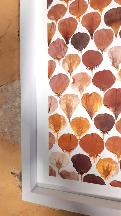 Affiche herbier, véritable fleurs - 21 x 29,7 cm PIECE UNIQUE