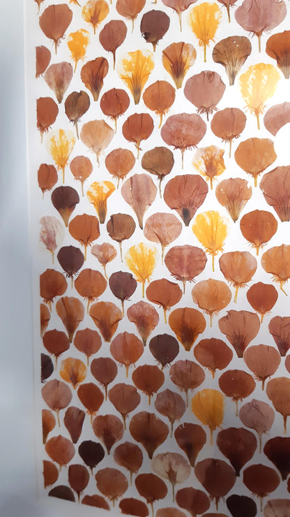 Affiche herbier, véritable fleurs - 30 x 40 cm PIECE UNIQUE