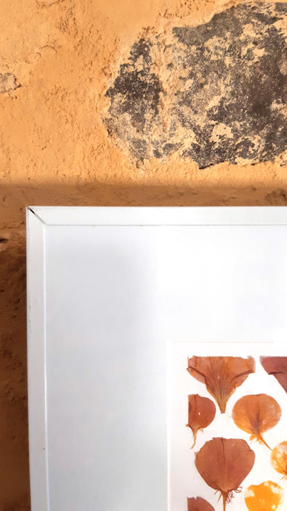 Affiche herbier, véritable fleurs - 30 x 40 cm PIECE UNIQUE