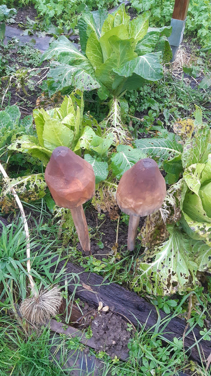Sculpture de jardin en bois massif - Champignon sculpté et peint - 40 cm