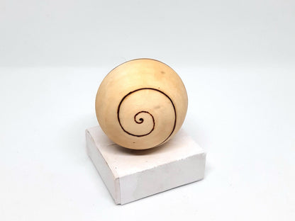 Jouet en bois naturel infusé à l'huile de saumon pour chats. Écologique, durable et non toxique, il stimule l'instinct de jeu et favorise le bien-être. L'huile de saumon attire les chats et soutient leur santé. Idéal pour divertir et prendre soin