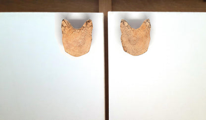 Paire de poignées en bois massif en forme de tête de chat, sculptées à partir de rondins de bois naturel avec leurs cernes visibles. Sur des portes blanches, elles apportent une touche artisanale et originale au mobilier. Fabrication artisanale