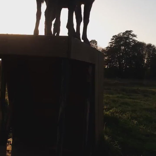 Plan de cabane pour animaux - Chèvres et mouton - PDF FR & EN - goat shelter