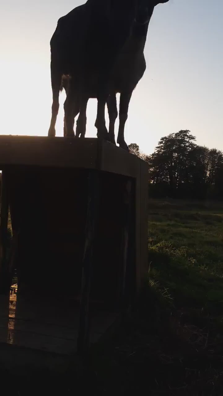 Plan de cabane pour animaux - Chèvres et mouton - PDF FR & EN - goat shelter