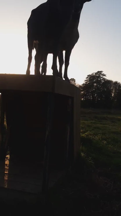 Plan de cabane pour animaux - Chèvres et mouton - PDF FR & EN - goat shelter