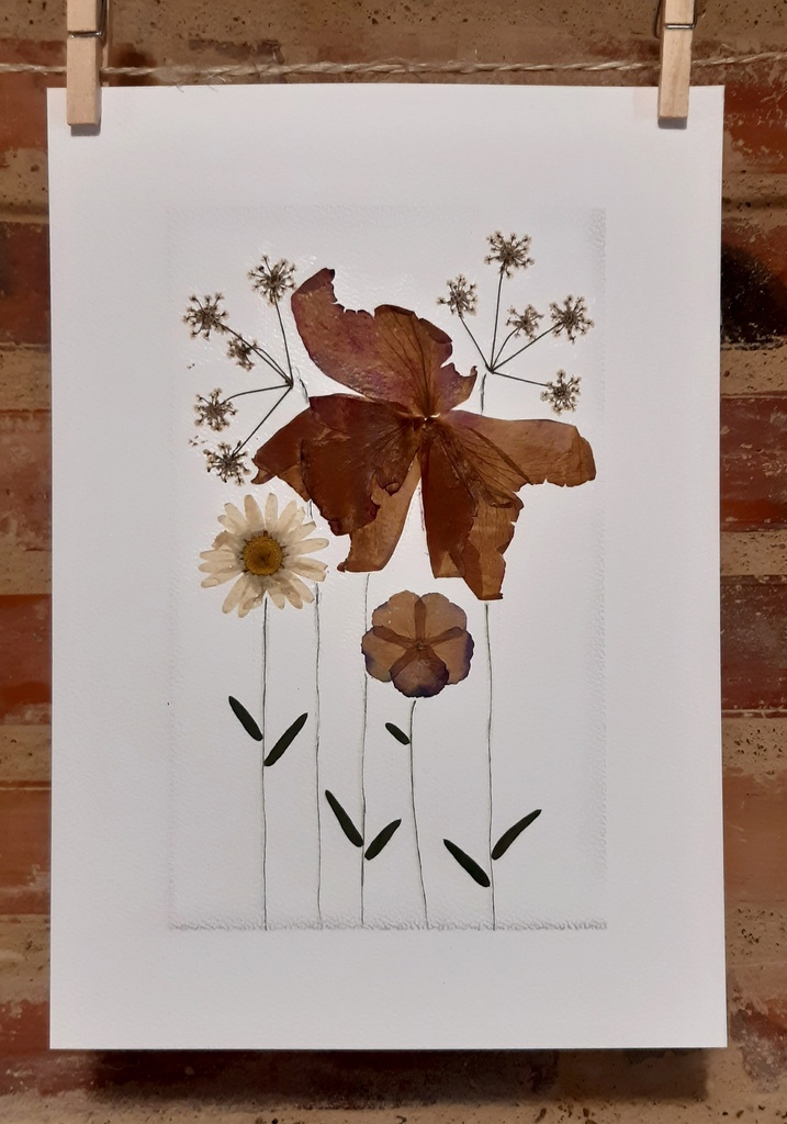 Herbier "Petit bouquet 01" - A4 (21x29,7cm) - pièce unique